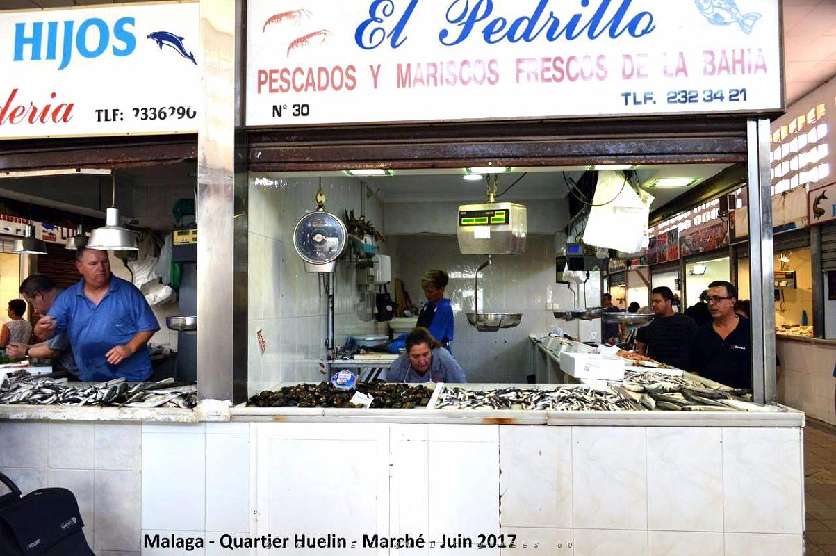 304- Malaga Huelin.JPG